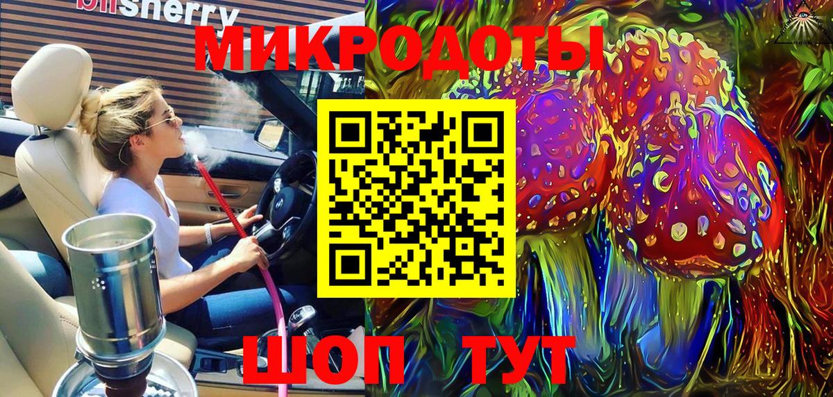 Псилоцибиновые грибы Psilocybe Саров